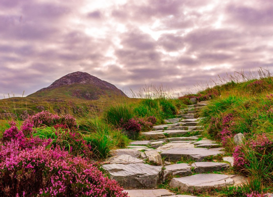 Reisen nach Irland: Was Touristen wissen müssen