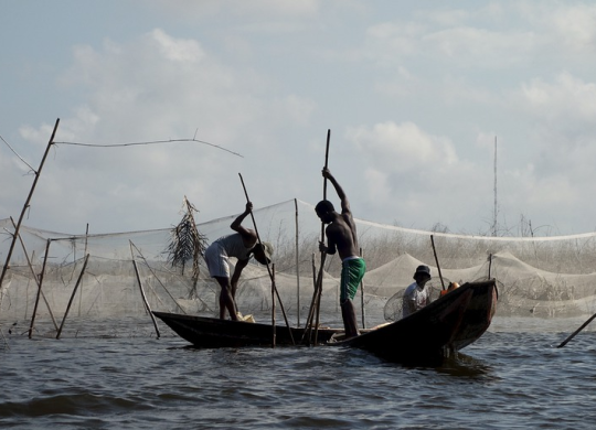 Arbeit und Beschäftigung in Benin. Voraussetzungen für die Erteilung eines Visums für Benin