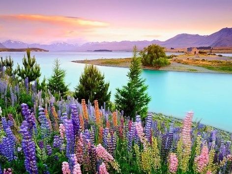 Traveling to New Zealand: what to visit, travel tips and visa application