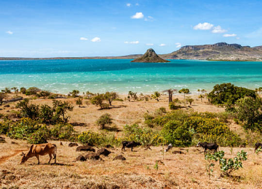 Por qué merece la pena trasladarse a Madagascar para obtener la residencia permanente y cómo conseguir la ciudadanía