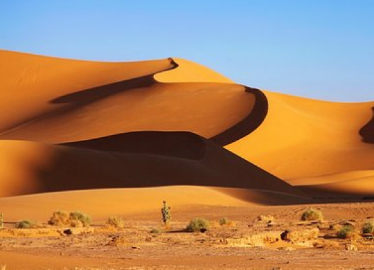 Voyage en Algérie : ce que les touristes doivent savoir sur un voyage dans le pays