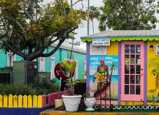 L'enseignement supérieur aux Bahamas : documents d'admission et caractéristiques des études