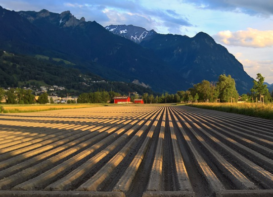 Work and employment in Liechtenstein: job prospects and requirements for job seekers