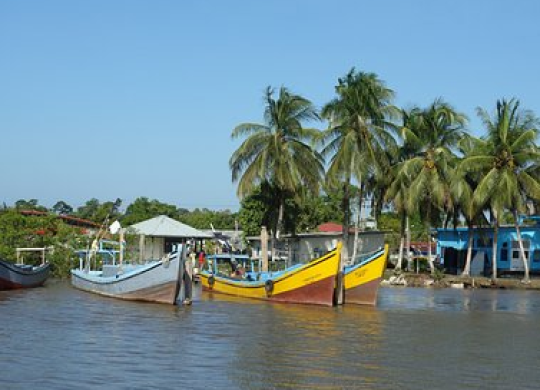 Ciudadanía en Surinam: tipos de estancia en el país