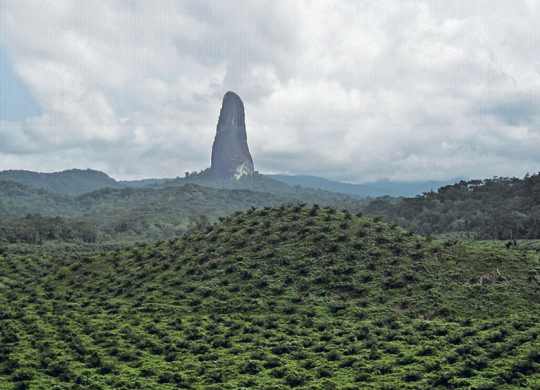 Wie man die Staatsbürgerschaft von Sao Tome und Principe und ein Visum für Ausländer erhält