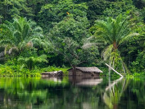 Viajar para o Congo: regras de entrada, lista de documentos exigidos e pedido de visto