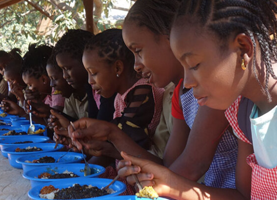 L'enseignement supérieur en Guinée équatoriale : où le trouver