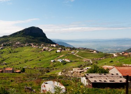 Arten des Aufenthalts in Algerien und Wege zur Erlangung der Staatsbürgerschaft