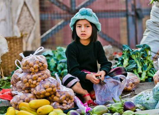 A vida em Mianmar: como requerer um visto de residência permanente