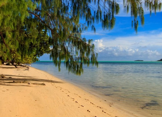 Médecine et système de santé à Palau : nuances locales, soins médicaux pour les touristes