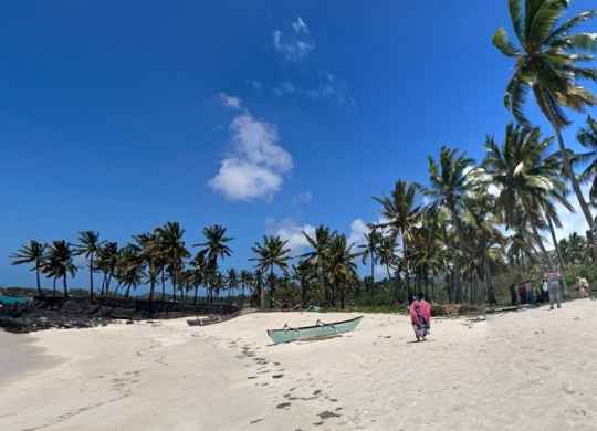 Emploi aux Comores : tout ce qu'un étranger doit savoir