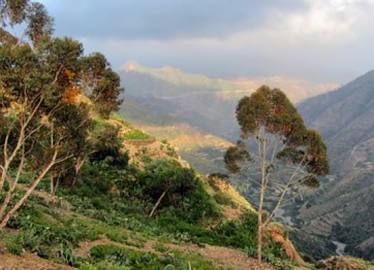 Vorteile des Lebens in Eritrea: Visumtypen und Einreisedokumente