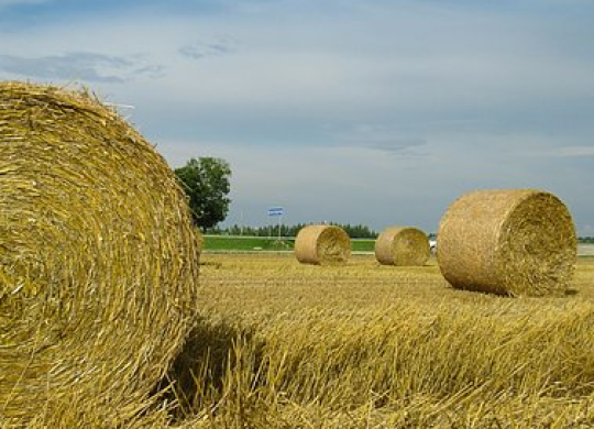 Reisen nach Belarus: Wie man eine Reise für ausländische Staatsangehörige organisiert und was man über die Anforderungen wissen muss