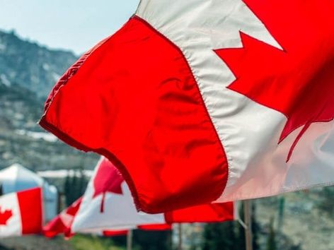 S'installer au Canada : programmes populaires pour les expatriés et difficultés d'immigration