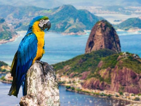 Brasilien plant die Wiedereinführung der Visaregelung für Bürger der Vereinigten Staaten, Japans, Australiens und Kanadas