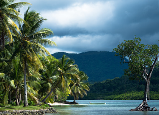 Particularidades del empleo en Micronesia: lo que deben saber los trabajadores extranjeros