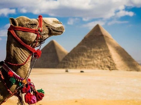 Novo visto de cinco anos para o Egipto: quando estará disponível, quem pode solicitar e preço